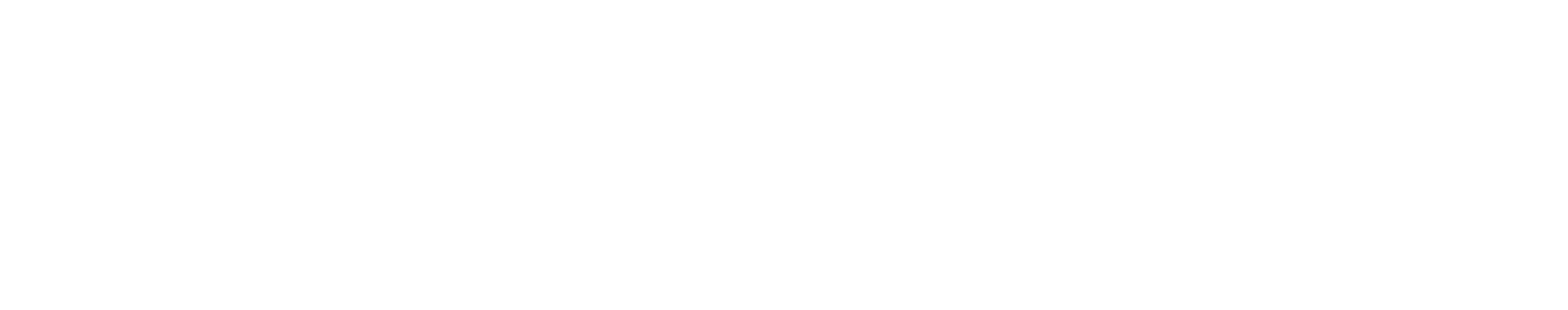 DataVue